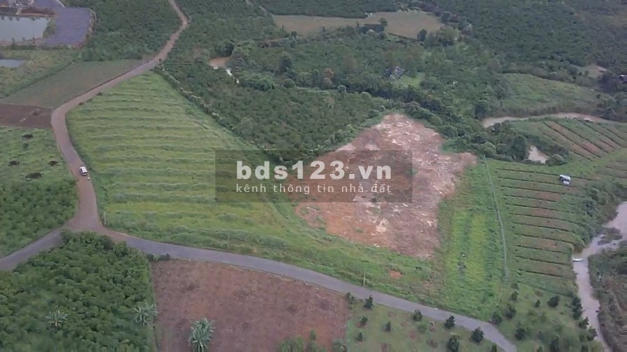 Cần bán nhanh lô đất 300m mặt tiền đường Xã Lộc Châu tp Bảo Lộc