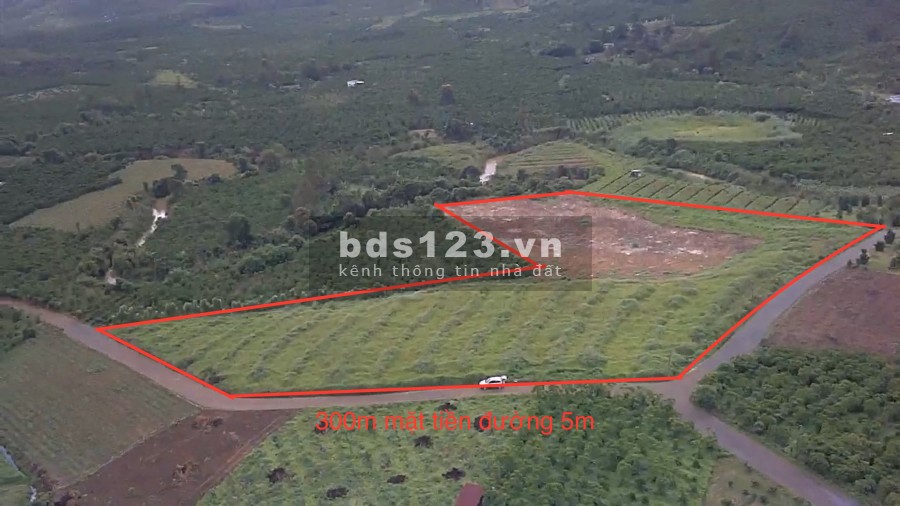 Cần bán nhanh lô đất 300m mặt tiền đường Xã Lộc Châu tp Bảo Lộc