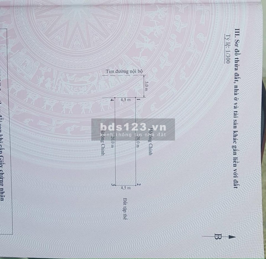 Bán lô 90m tại đường 203 Cái Tắt , An Đồng thành phố Hải Phòng, dt 90m2