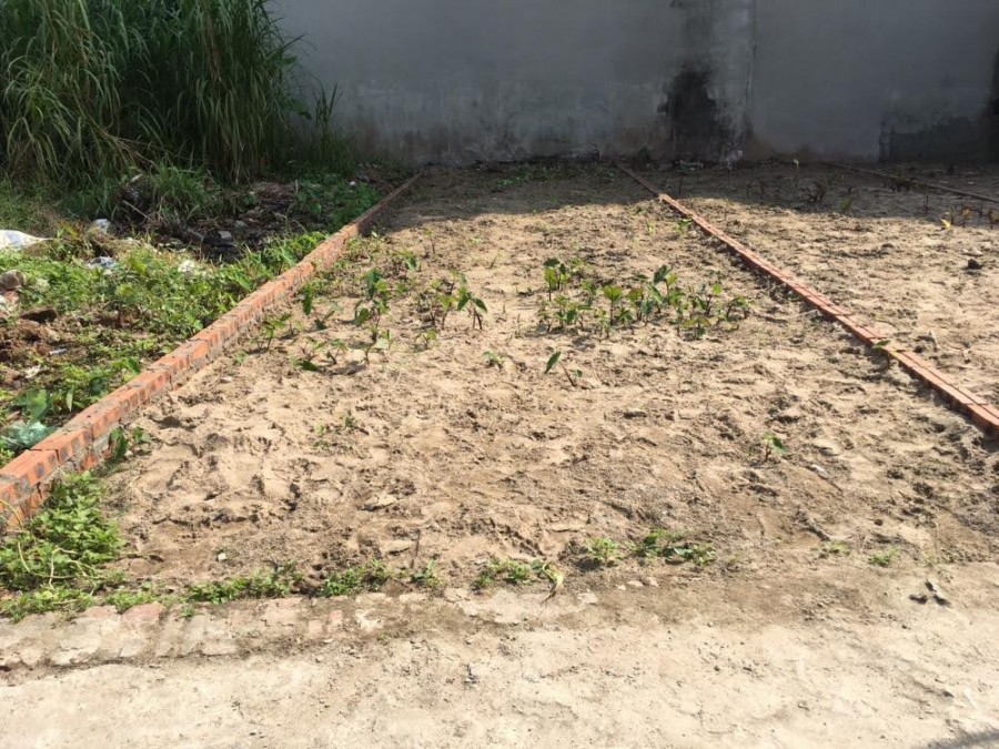 Hiếm có đất Hà nội ô tô để trong nhà, diện tích sử dụng 60m2 mà giá chỉ nhỉnh 3 tỷ