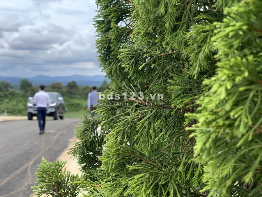 Đất thổ cư trung tâm thành phố Bảo Lộc 168m2=8x21 SHR cách quốc lộ 20 chưa tới 2km giá 450tr