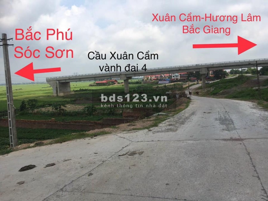 Chính chủ bán gấp 230m2 xã Bắc Sơn, Sóc Sơn giá rẻ, giá 5.8 triệu/m2