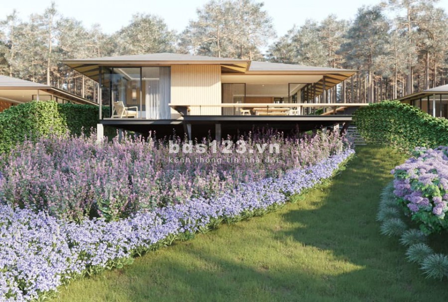 Đất Bảo Lộc săn mây đón hoàng hôn diện tích 200m2 giá 800tr.