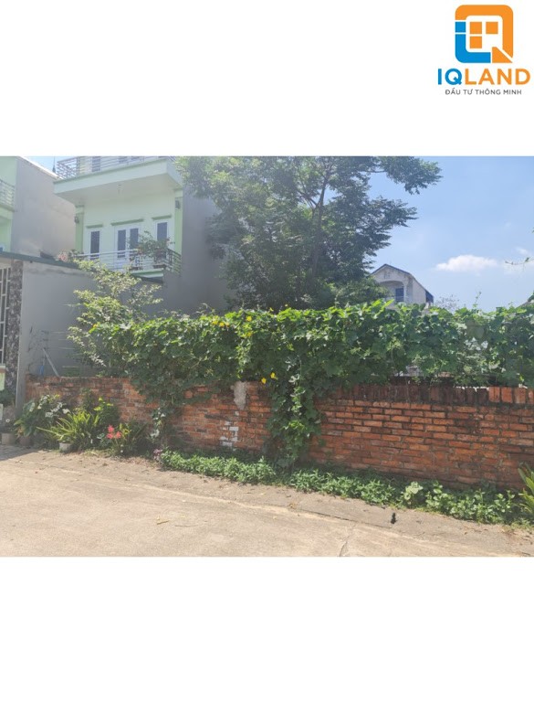 Bán 3 lô trục chính đường 10m, đất 2 mặt đường ở Quảng Hội, Quang Tiến, Sóc Sơn, Hà Nội.