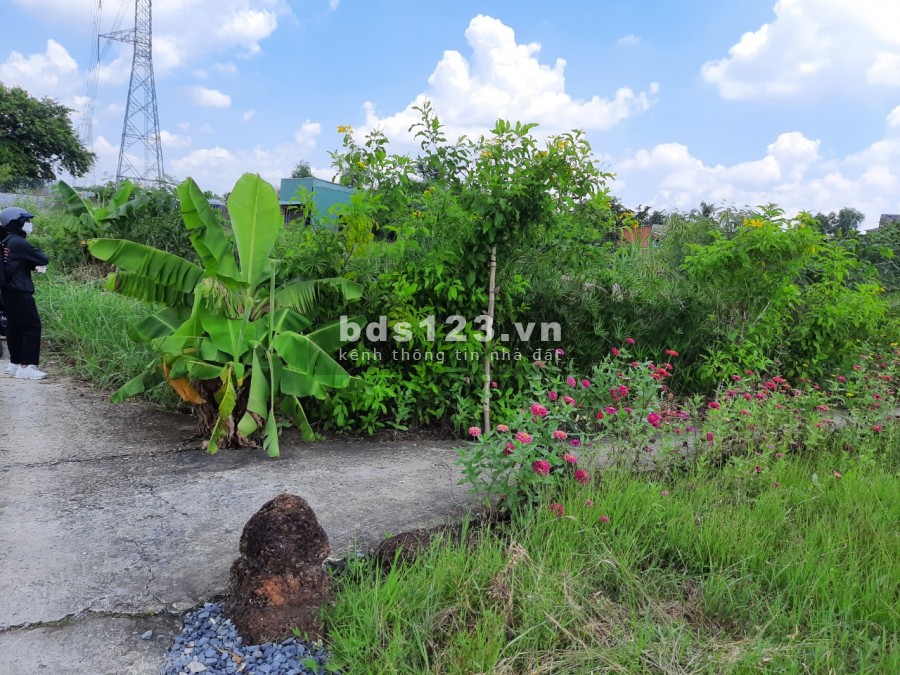 Đất thổ cư giá lúa! Tân Trạch cần đước Long An, giá bán 2.7 triệu/m2, lhcc