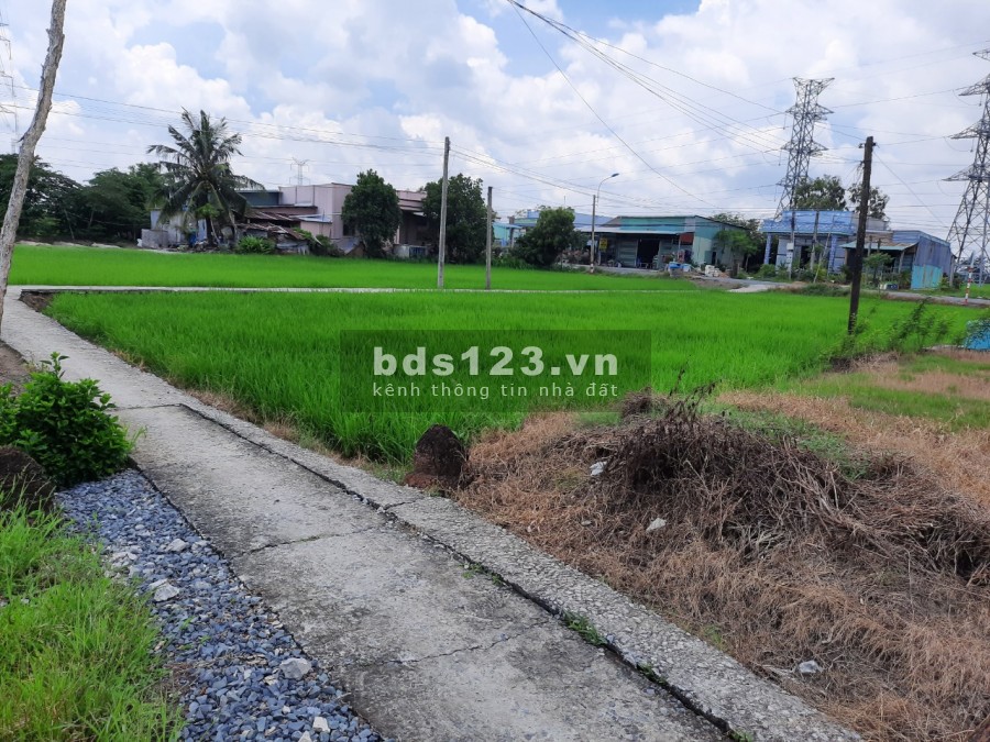 Đất thổ cư giá lúa! Tân Trạch cần đước Long An, giá bán 2.7 triệu/m2, lhcc
