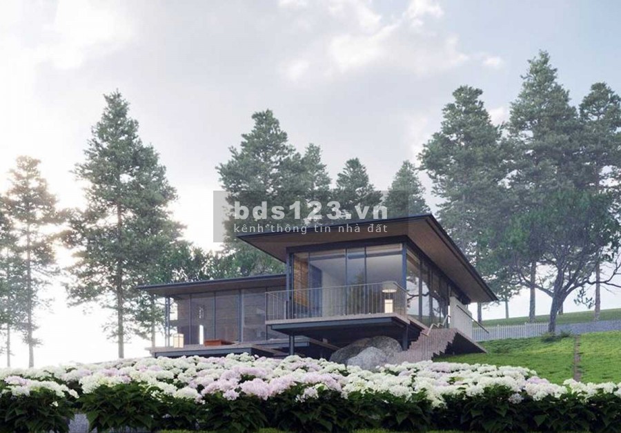 Đất Bảo Lộc săn mây đón hoàng hôn diện tích 200m2 giá 800tr.