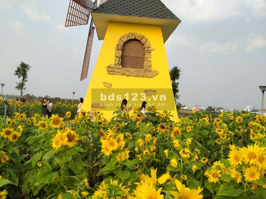 Mở 10 suất nội bộ dự án The Sol City, Long Thượng, Cần Giuộc, Long An chiết khấu cao 12% 0933716840