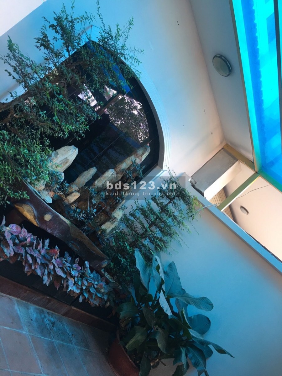 Cho Thuê Nhà Nguyễn Minh Hoàng, Quận Tân Bình, diện tích sử dụng 9x17m, 3 lầu