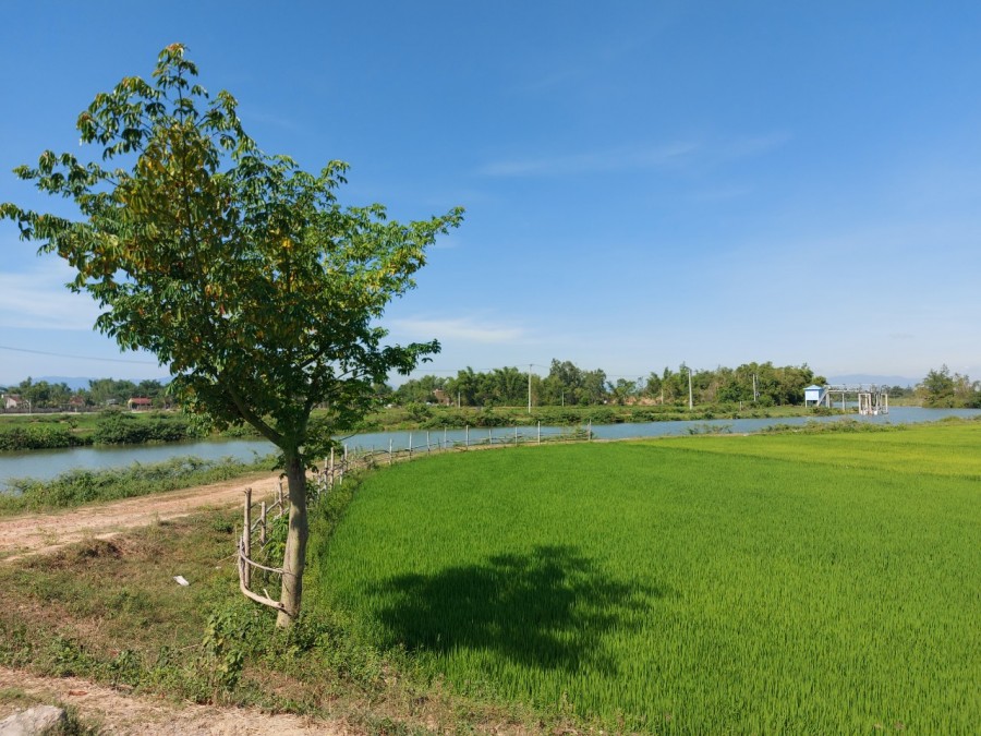 Bán gấp lô đất đường 7m5, 2 mặt tiền, ngay Xã Điện Hòa –Điện Bàn, giá bán 1.2 tỷ, lhcc