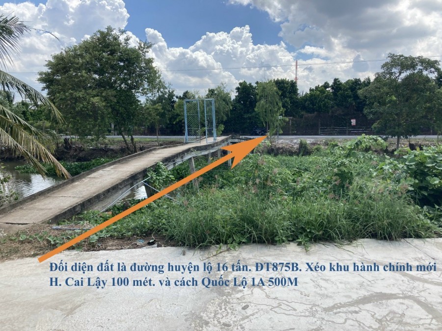 Cần Bán Đất Vị Trí Đẹp Tại Huyện Cai Lậy – Tỉnh Tiền Giang, dt 100m2, giá 1.15 tỷ