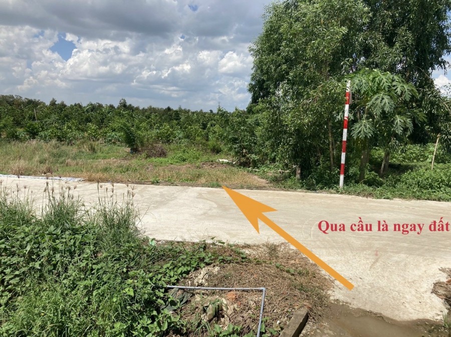 Cần Bán Đất Vị Trí Đẹp Tại Huyện Cai Lậy – Tỉnh Tiền Giang, dt 100m2, giá 1.15 tỷ