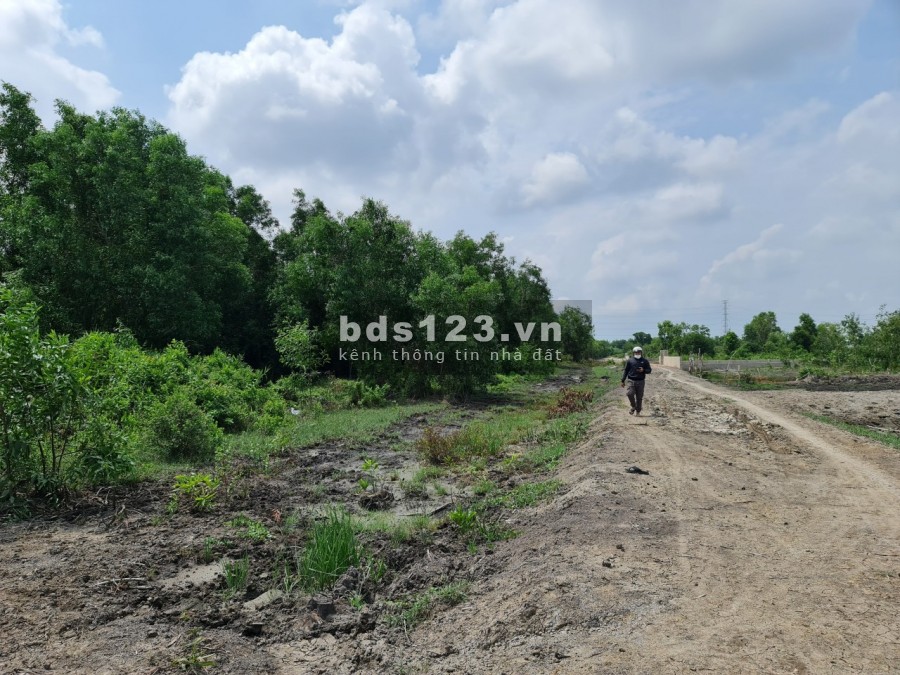 Chủ kẹt tiền gửi bán lô đất giá rẻ, sổ hồng riềng, mua công chứng trong ngày