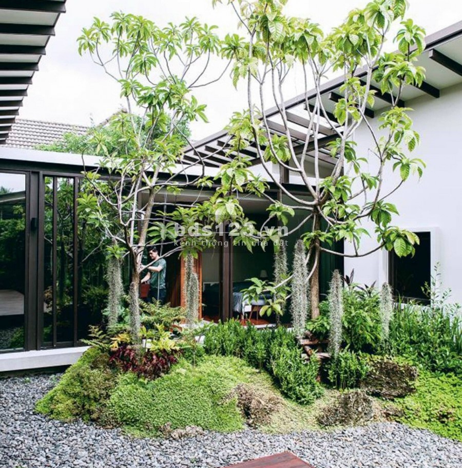 Cần bán gấp lô đất sẵn nhà vườn cấp 4 tại Châu Pha- phú mỹ,, chính chủ giá rẻ