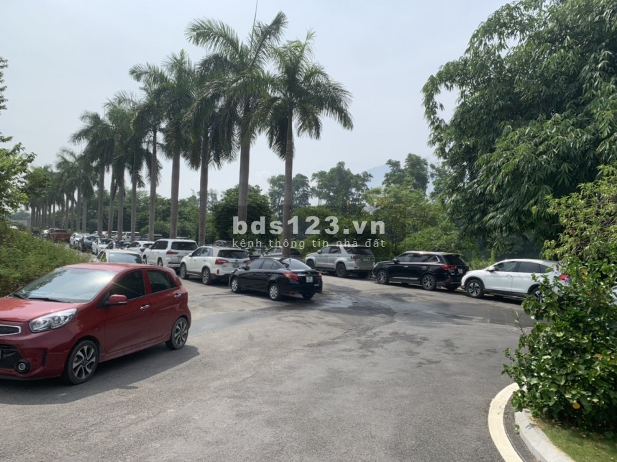 Tôi bán cắt lỗ biệt thự Bích Liên giá chỉ 4.6 tỷ ở dự án Vườn Vua Thanh Thủy bàn giao full nội thất