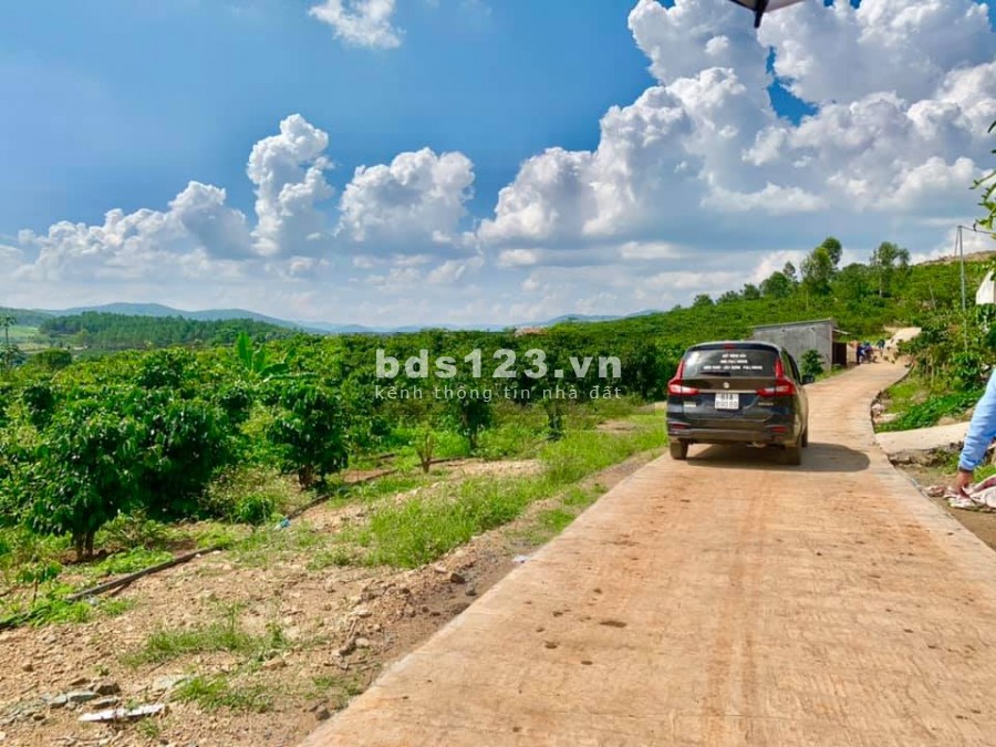 Gã nhanh lô đất tại Gia Lâm Lâm Hà, giá yêu thương cho anh chị, lh 0798376946