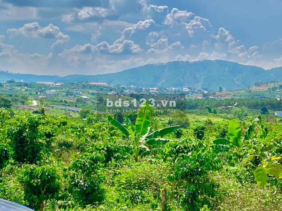 Gã nhanh lô đất tại Gia Lâm Lâm Hà, giá yêu thương cho anh chị, lh 0798376946