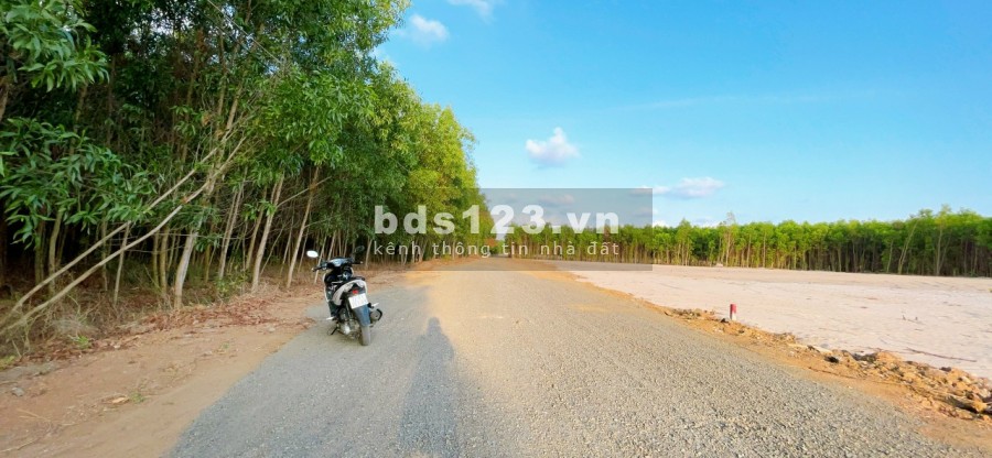 Chống dịch covid, ngộp bán nhanh dt 1300m2 đất ở sân bay lộc an, đối diện kcn đất đỏ