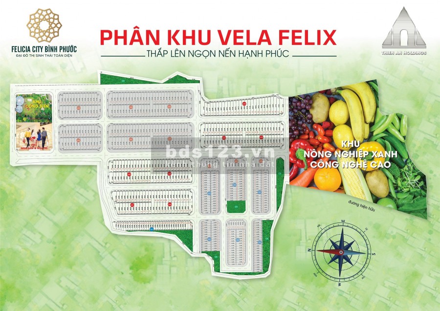 Bán đất dự án Felicia City Bình Phước giá 450tr/nền Liên hệ 0793907639