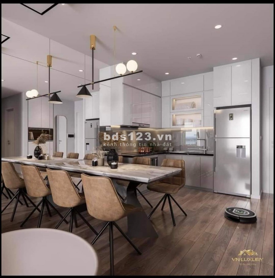 Nhà cực đẹp mà giá tốt !! Vinhome D’Capitale, 2-3N, quỹ căn hộ lớn