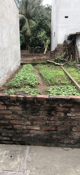 Suất đất duy nhất dt 40m2, 800 triệu tại Gia Lâm liên hệ chính chủ 0983253436