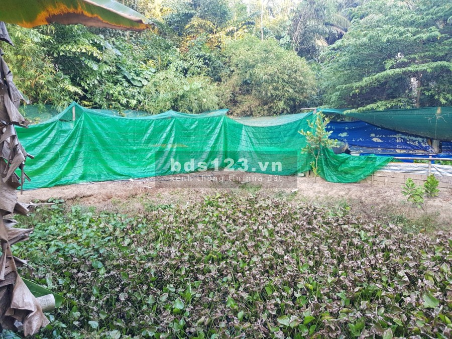 Bán nhà mặt tiền gồm quán cà phê sân vườn và tiệm rửa xe oto rộng 2653m2 tại Trà Vinh