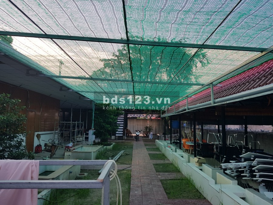 Bán nhà mặt tiền gồm quán cà phê sân vườn và tiệm rửa xe oto rộng 2653m2 tại Trà Vinh
