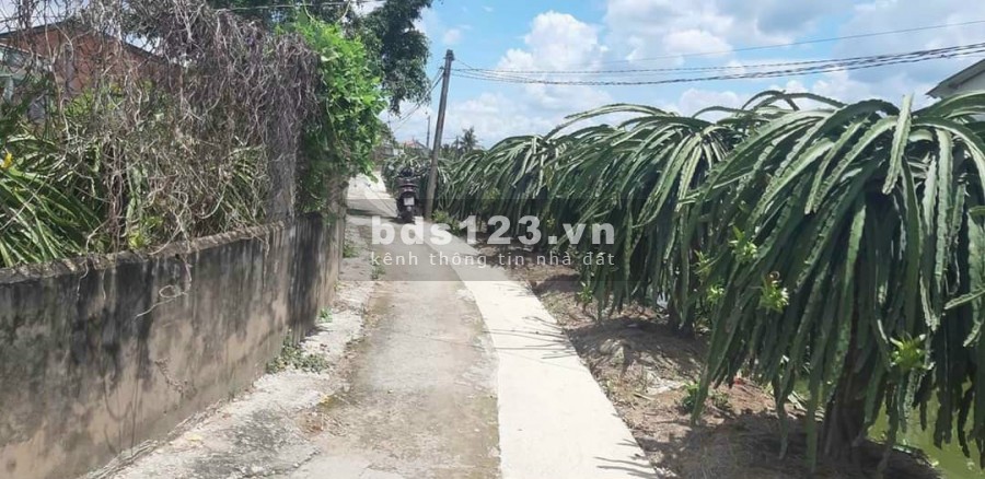 Cần Bán Gấp Đất Tặng Nhà Vị Trí Đẹp tại Xã An Lục Long Huyện Châu Thành