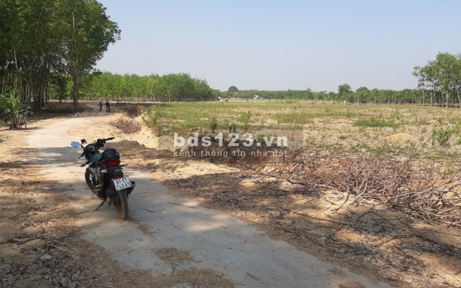 Đất sào Đồng Tiến Đồng Phú nhượng nhanh 3 sào đường lớn xe hơi ra vào, đường thông sổ sẵn