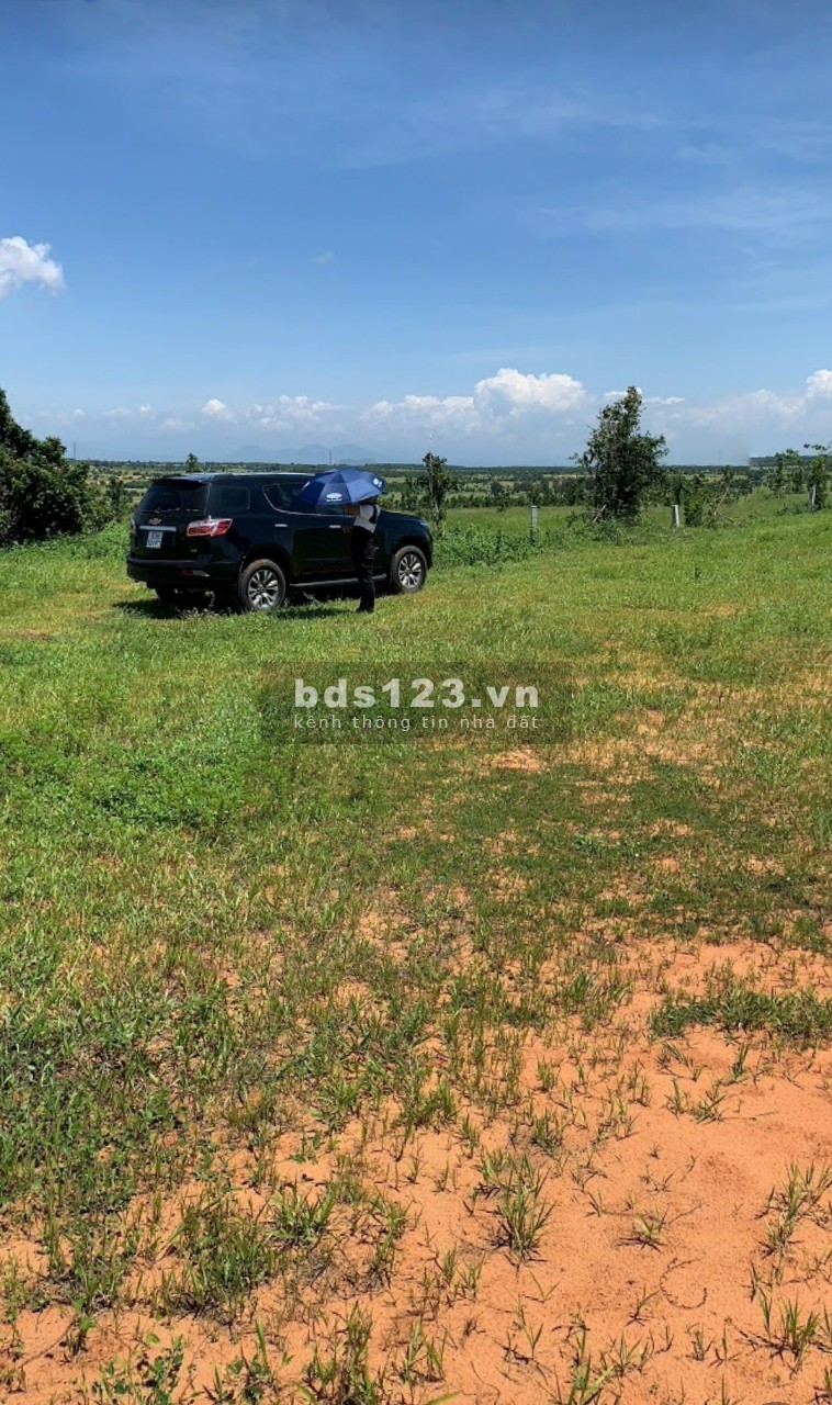 Bán 2 lô đất nông nghiệp hồng thái gần đường liên huyện và dân cư giá chỉ từ 90k/m2 Lh 0938677909