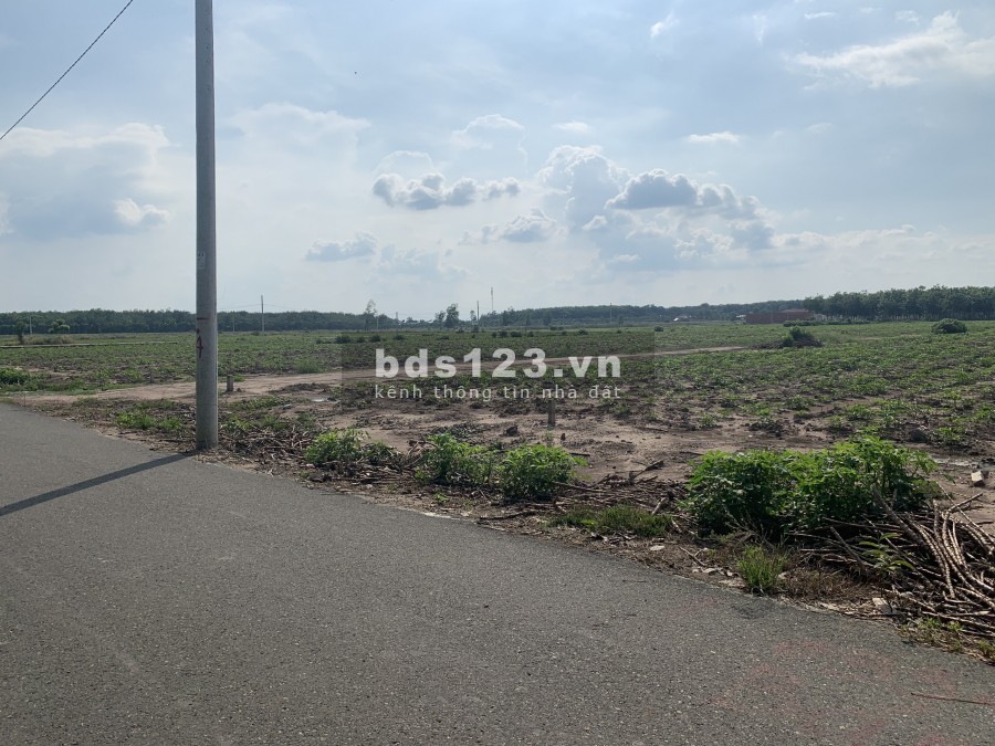 Chính chủ bán gấp 6.400m2 đất vườn ngay đường lớn, sát chợ, giá bán 480 triệu