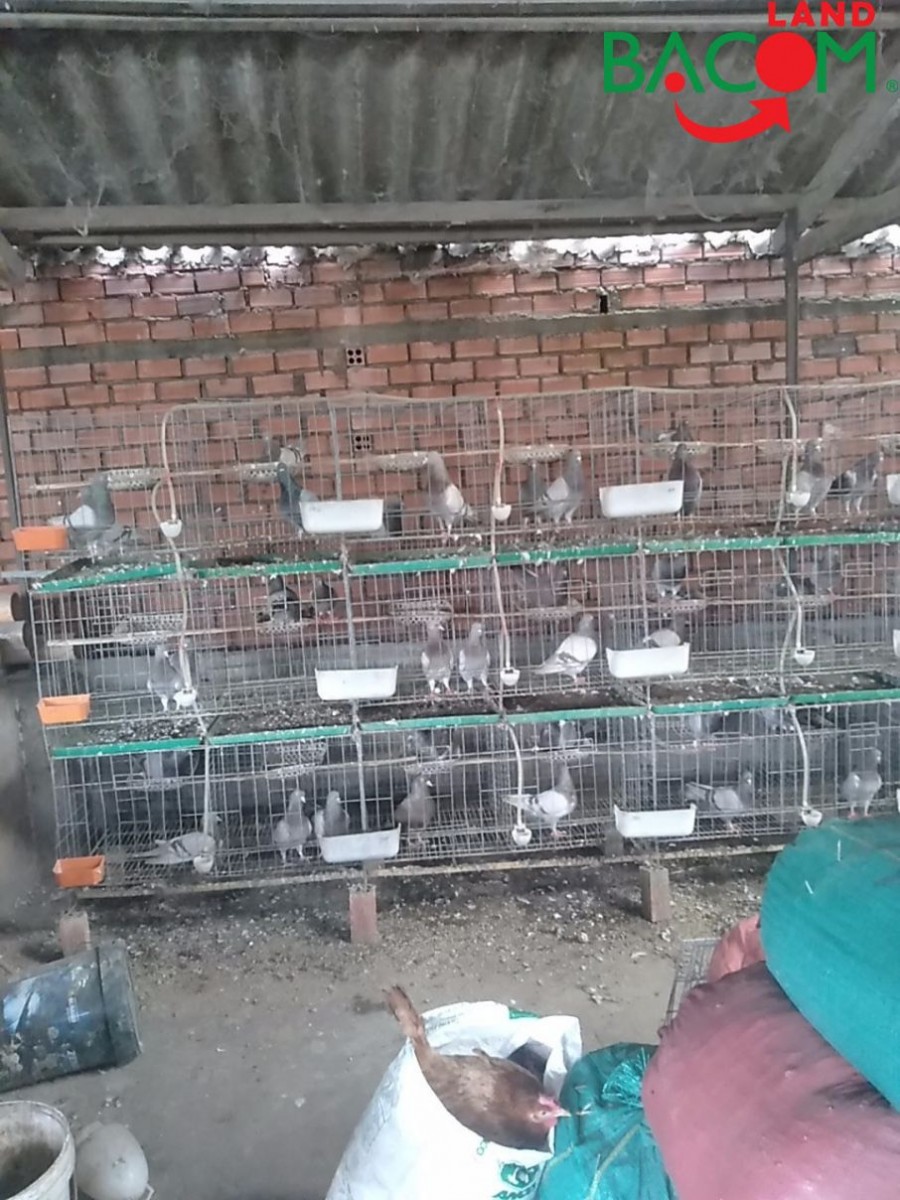 Bán đất vuông vức KP2 phường Trảng Dài, đường 2 ôtô 460m2, SHR Giá 4.1 tỷ