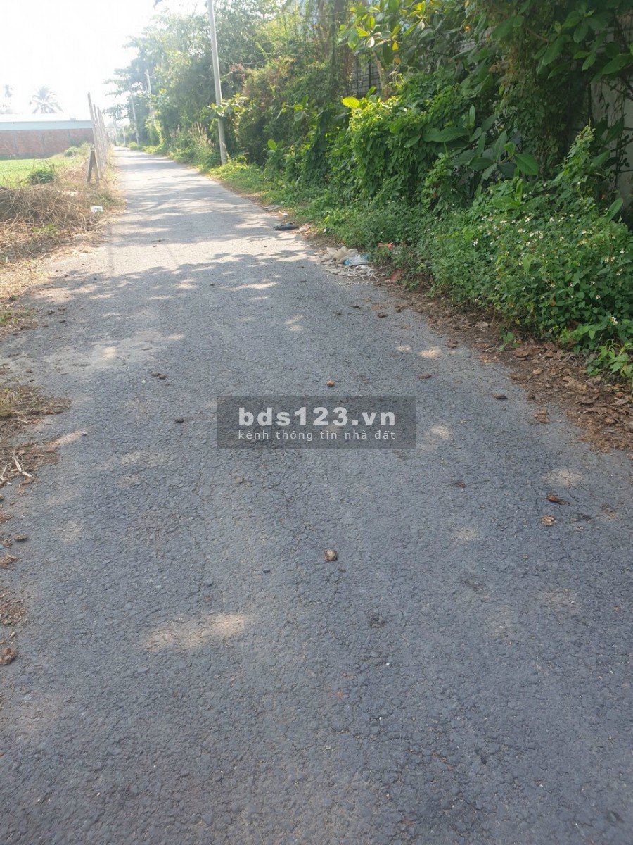 Bán đất tại xã Bình Mỹ sổ đỏ chính chủ huyện Củ Chi, giá tốt, bàn giao sổ ngay