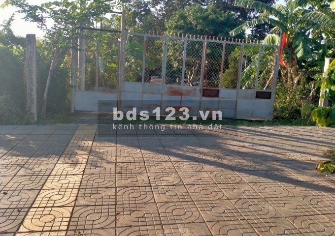 Bán đất Vòng xoay lê trọng tân phường Tân Tưng Bà Rịa DT 378M2 Gía 5,7 Tỷ 9×42 thổ cư 100m