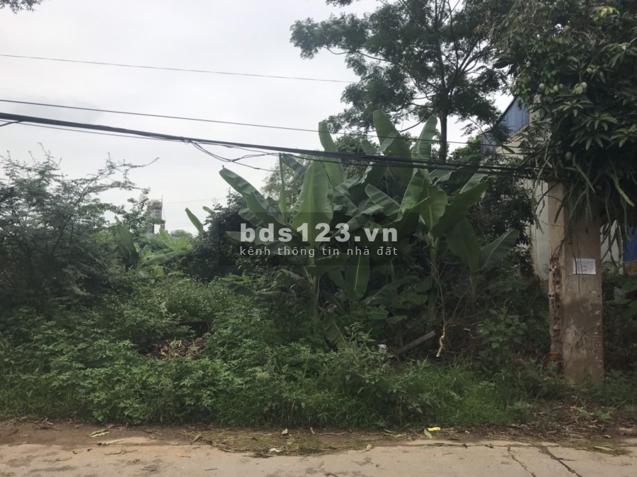 Bán đất chính chủ diện tích 112m2 đất trực chính chợ Triều Đông Cổ Đông, lh 0965528169