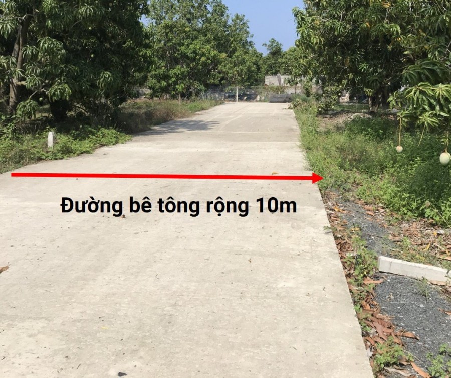 Bán đất ven đầm Thuỷ Triều Cam Lâm thổ cư 100% giá mùa Covid, giá bán 7.7 triệu/m2