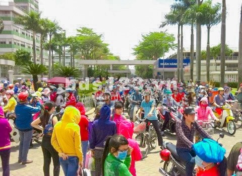 Bán đất Chơn Thành giá rẻ 1 mẫu, shr cạnh kcn lớn, gân trường chợ giá 560 triệu