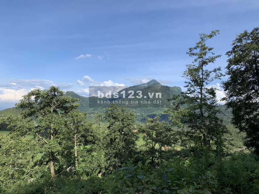 Bán mảnh đất hơn 3500m2 view hồ điều hoà giá cực rẻ cho nhà đầu tư