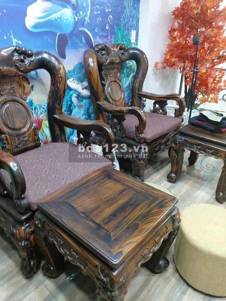 Nhà mặt tiền công viên Thái Thị Nhạn khu vip Bàu Cát Phường 10 Tân Bình