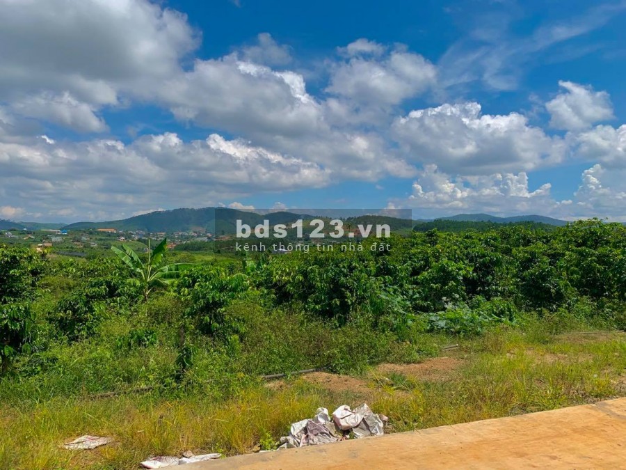 Bán đất Gia Lam Nam Ban thành phố Đà Lạt, mặt tiền nền 60m, view đẹp