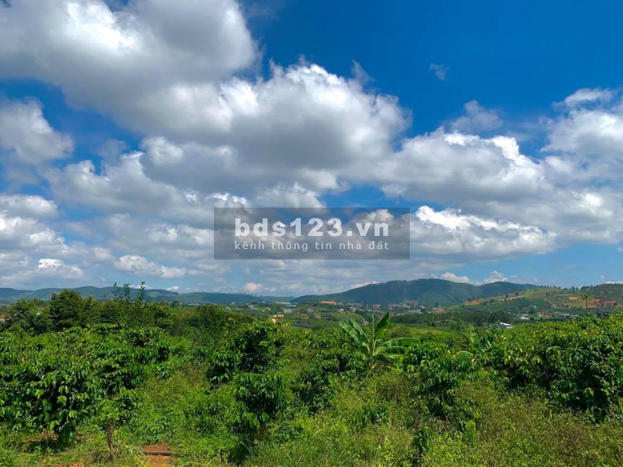 Bán đất Gia Lam Nam Ban thành phố Đà Lạt, mặt tiền nền 60m, view đẹp
