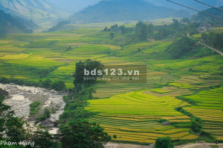 Mảnh đất vàng năm tại trung tâm của y tý- sapa 2 biên độ lợi nhuận cao