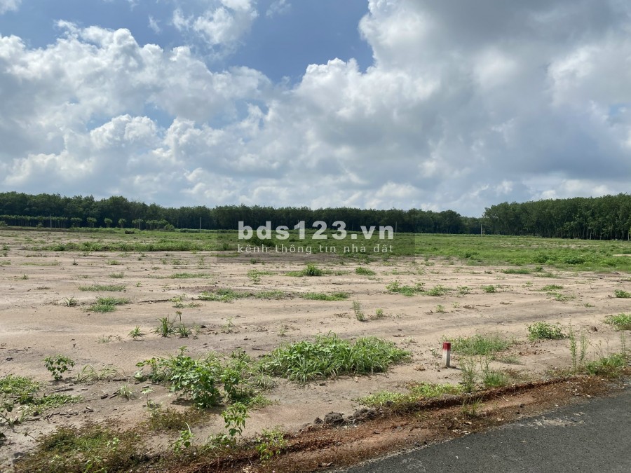 300tr là có thể nhận sổ đất nền 300m2 tại Hớn Quản