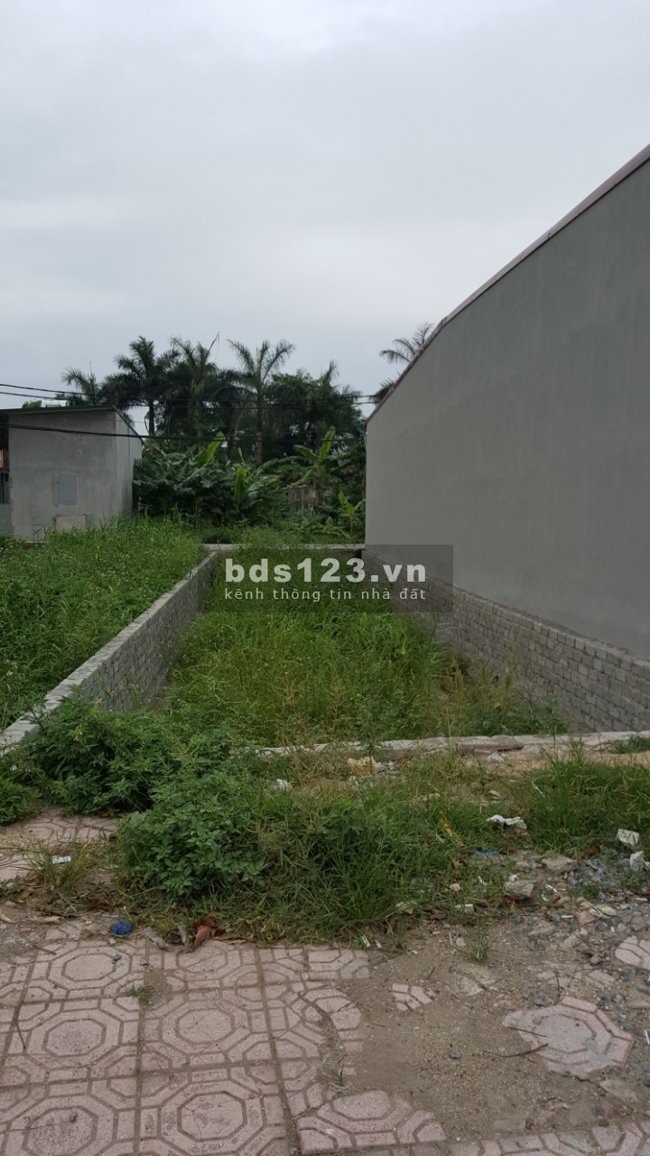 Bán đất Đại Ánh, ô tô vào nhà ngõ nong thoáng mt 4.5m, dt 56m2, giá 1.6 tỷ