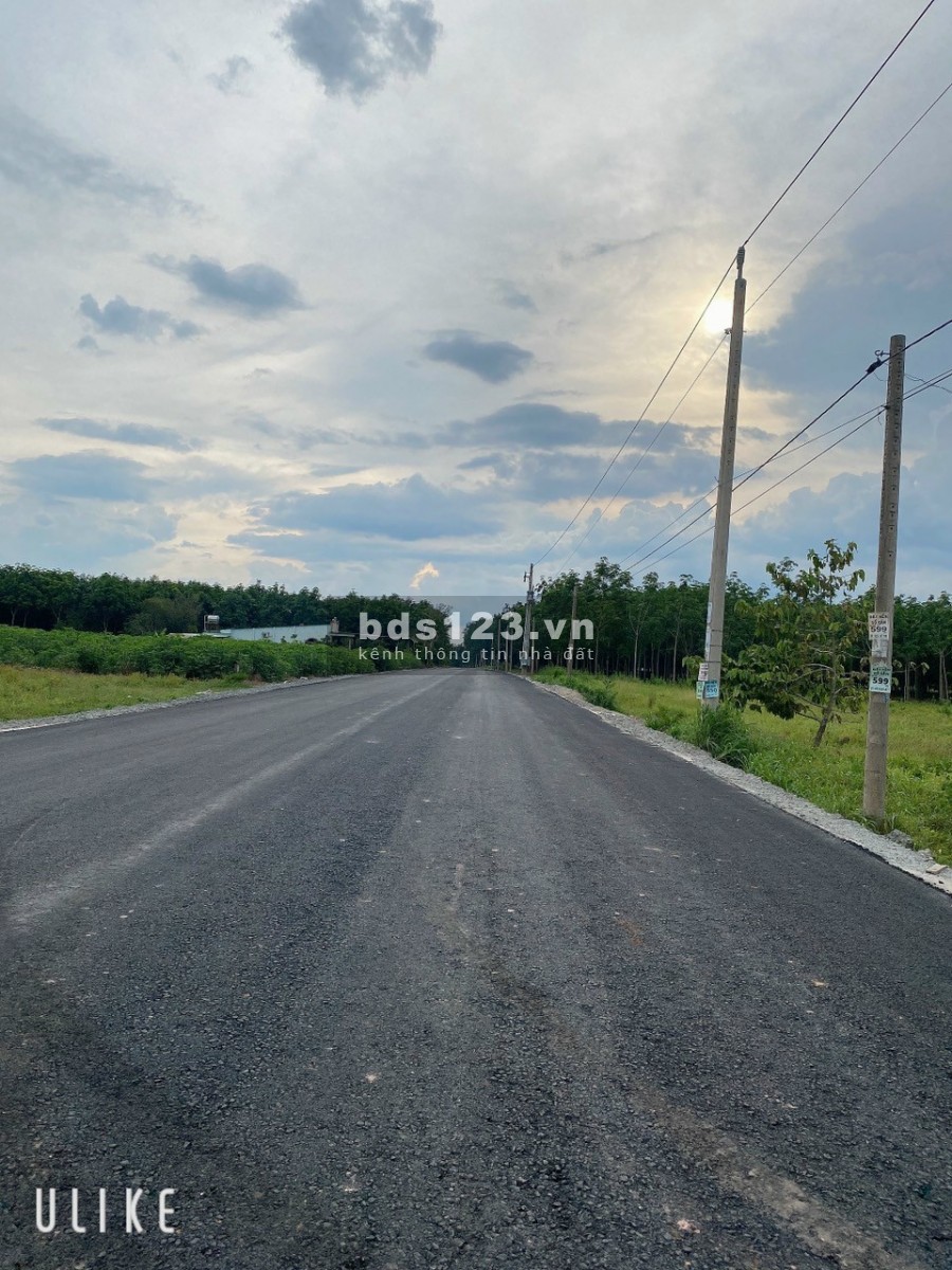 Bán ngộp 1000m2 đất chính chủ ngay KCN Bàu Bàng, đầu tư giá rẻ, siêu lợi nhuận