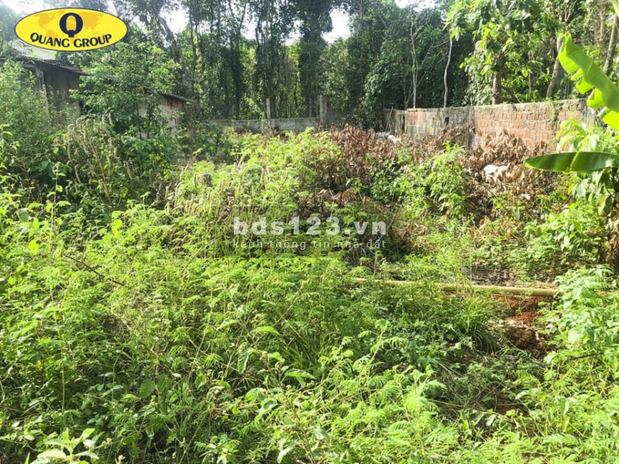 Bán nhanh lô đất xã Gio Châu Gio Linh khu dân cư tiện ích đủ, sổ chính chủ