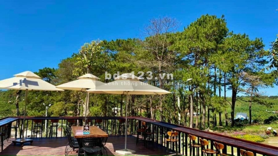 Đất nền đối diện đồi chè Tâm Châu, 100% thổ cư, hạ tầng hoàn thiện, giá 1.5 tỷ thương lượng