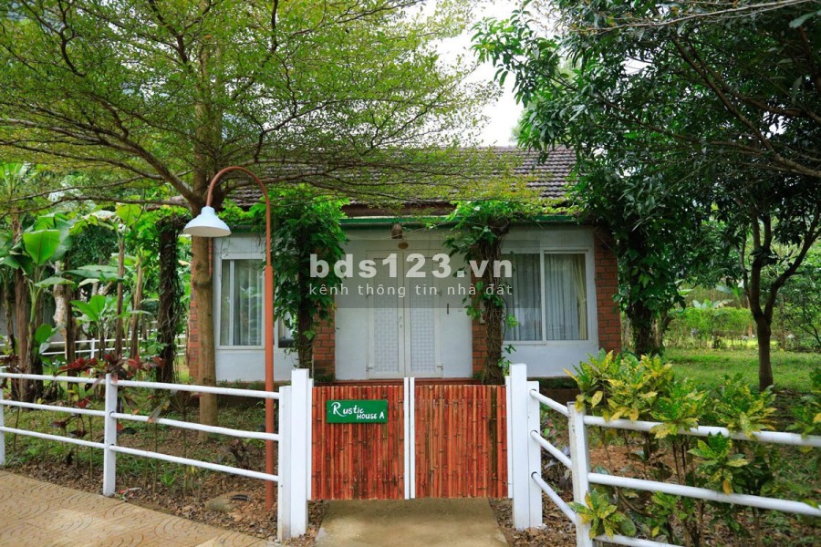 Bán lô đất 501m2 Homestay Nghĩ Dưỡng, chính sách mới 1 triệu đồng
