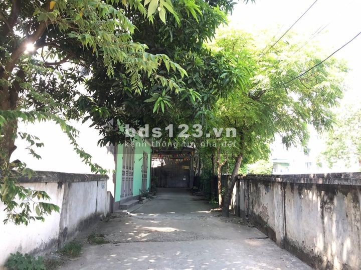 Bán đất tại Ngô Xuân Quảng, TT Trâu Qùy, Gia Lâm chỉ nhỉnh 2 tỷ có lô góc oto tận cửa