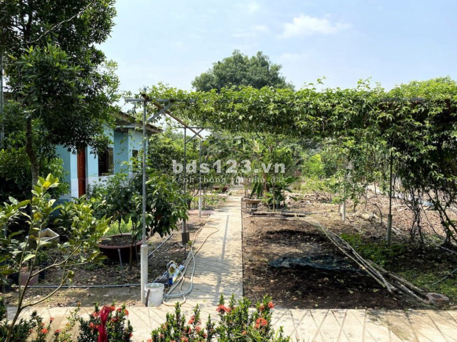 Bán lô đất 501m2 Homestay Nghĩ Dưỡng, chính sách mới 1 triệu đồng